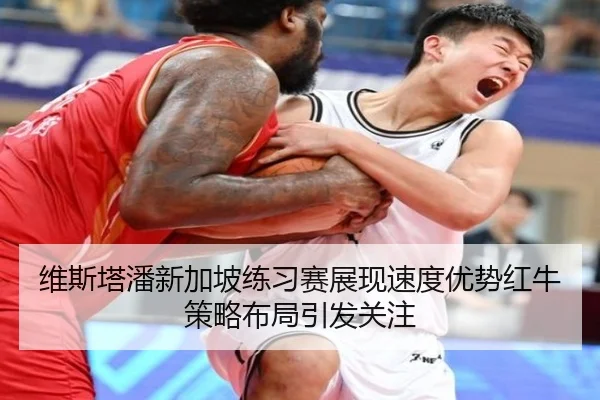维斯塔潘新加坡练习赛展现速度优势红牛策略布局引发关注